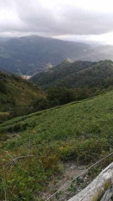 Encanto Asturiano Aller Екстер'єр фото